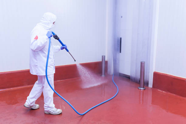 Pre-Holiday Cleaning in Yeadon, PA